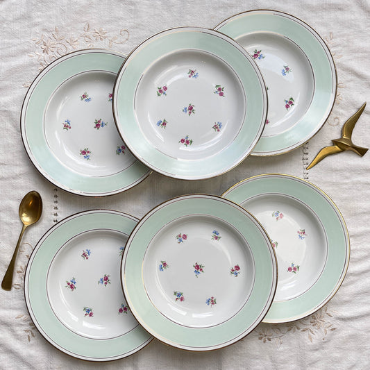 6 Assiettes à soupe vintage porcelaine blanche verte fleurie SALINS 66 de 1950s