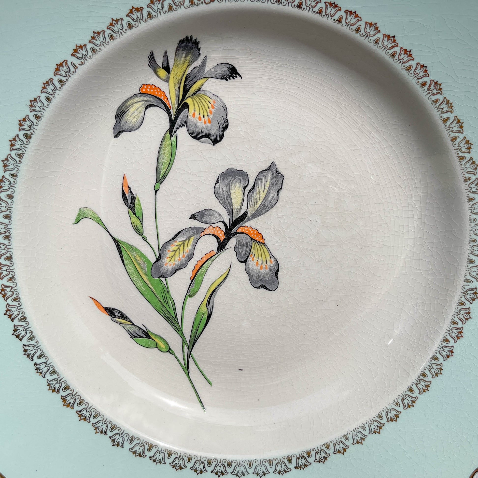6 Assiettes creuses porcelaine vintage blanche verte Iris Moulin des Loups "Sargosse" 1950s