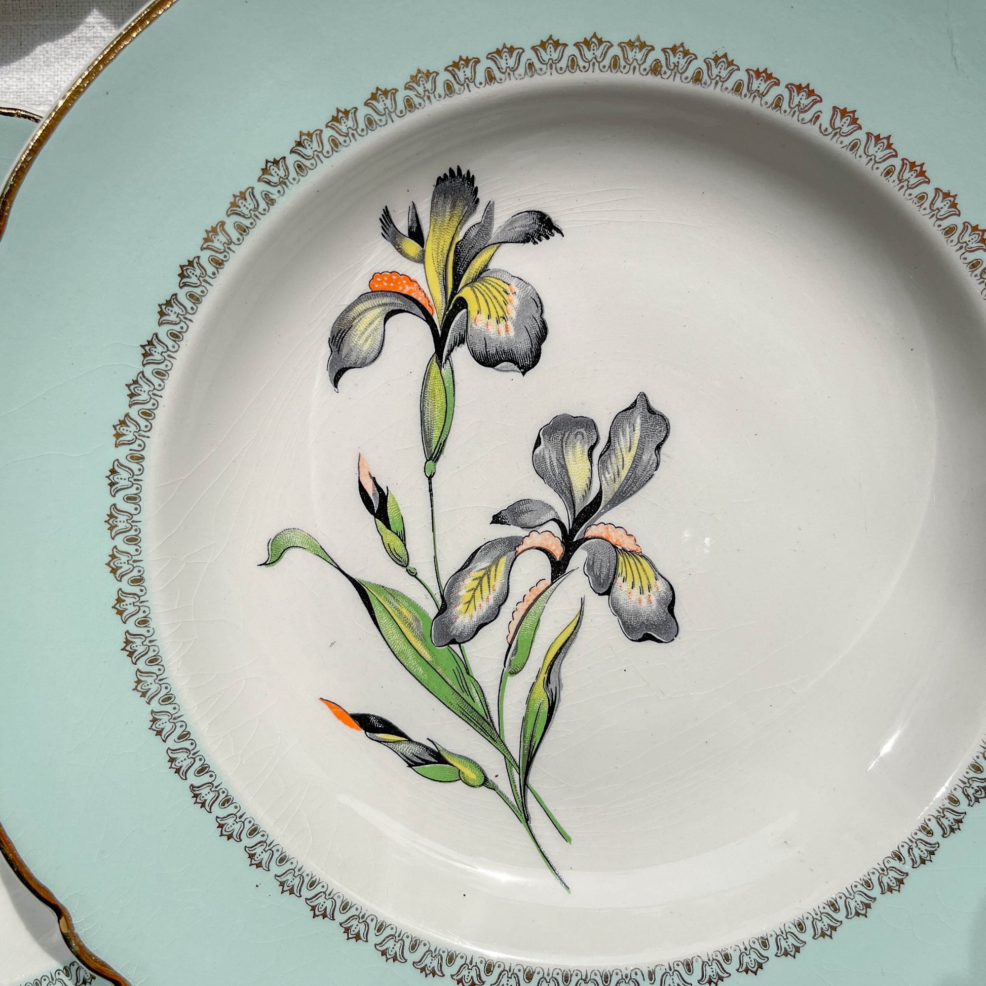 6 Assiettes creuses porcelaine vintage blanche verte Iris Moulin des Loups "Sargosse" 1950s