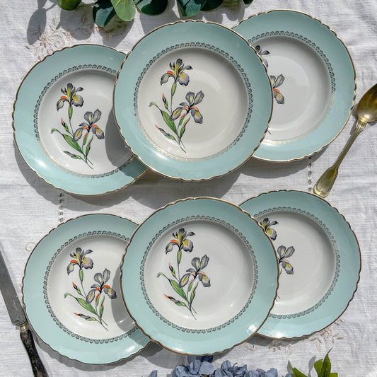 6 Assiettes creuses porcelaine vintage blanche verte Iris Moulin des Loups "Sargosse" 1950s