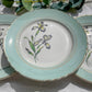 6 Assiettes plates porcelaine vintage blanche verte Iris Moulin des Loups "Sargosse" 1950s