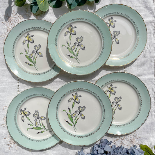 6 Assiettes plates porcelaine vintage blanche verte Iris Moulin des Loups "Sargosse" 1950s