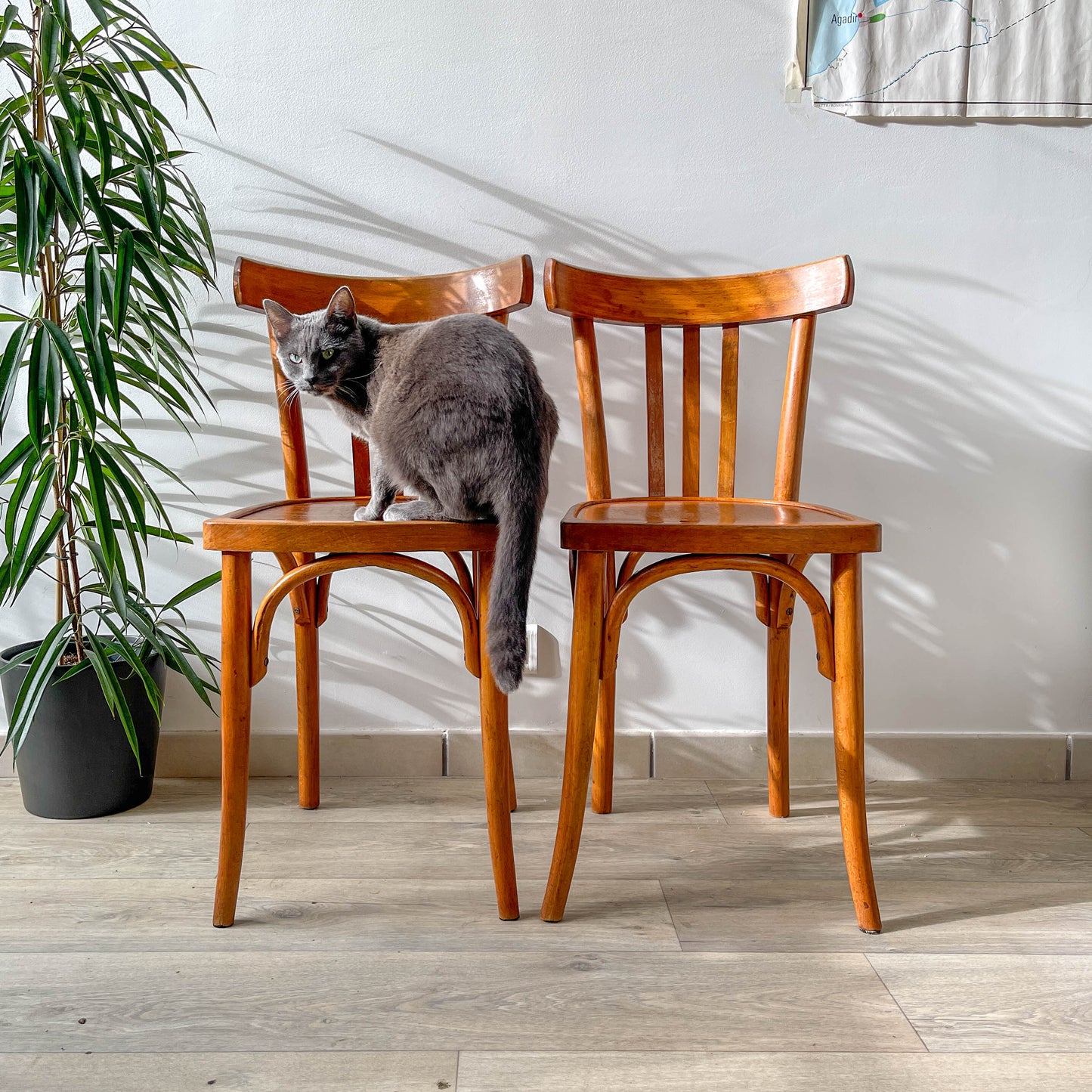 Chaises de Bistrot Baumann Vintage – Années 1960 – Style Industriel Français – Lot ou à l’unité