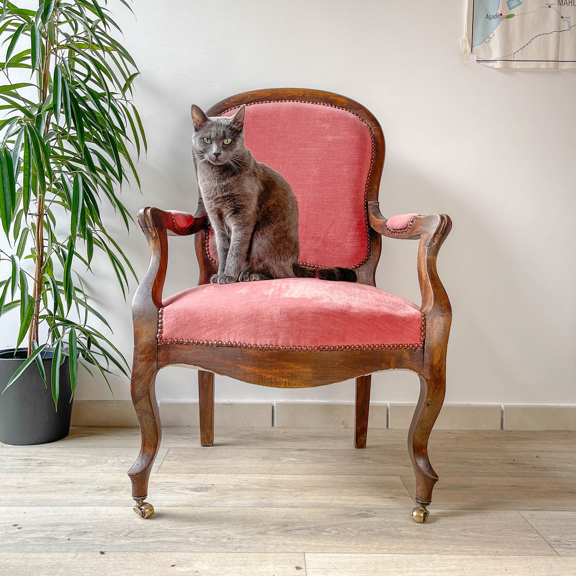 Fauteuil Louis Philippe velours rose