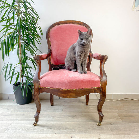 Fauteuil Louis Philippe velours rose - Fauteuil ancien XIXe - Décoration romantique vintage - Siège antique bois sculpté