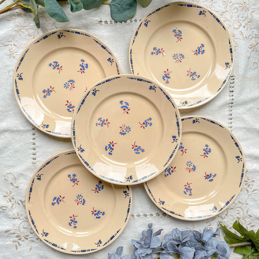 Lot de 5 petites assiettes en porcelaine vintage K&G Lunéville "Flore" des années 1950, décor fleuri bleu