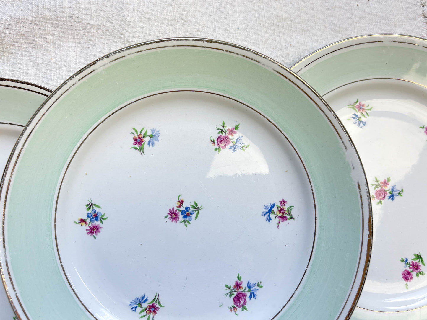 Petites assiettes vintage porcelaine blanche verte fleurie SALINS 66 de 1950s