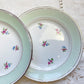 Petites assiettes vintage porcelaine blanche verte fleurie SALINS 66 de 1950s