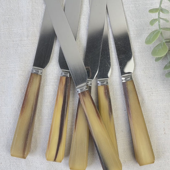 Lot de 6 couteaux de table vintage en corne