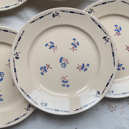 Lot de 6 assiettes plates en porcelaine vintage K&G Lunéville, modèle "Flore" des années 1950, décorées de petites fleurs bleues délicates.
