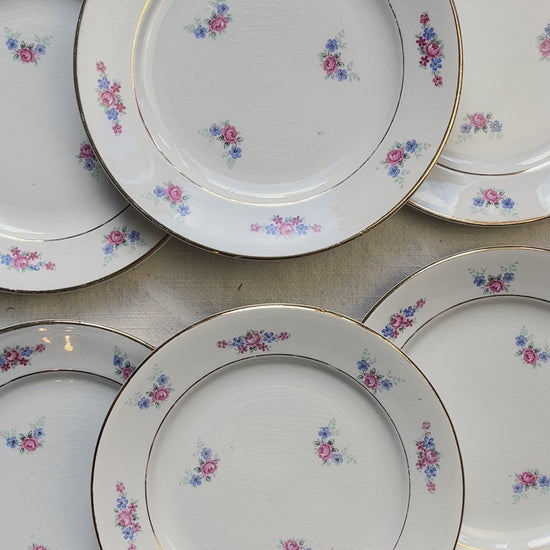 Lot de 6 petites assiettes en porcelaine vintage de Salins, décor floral bleu et rose, dorure.