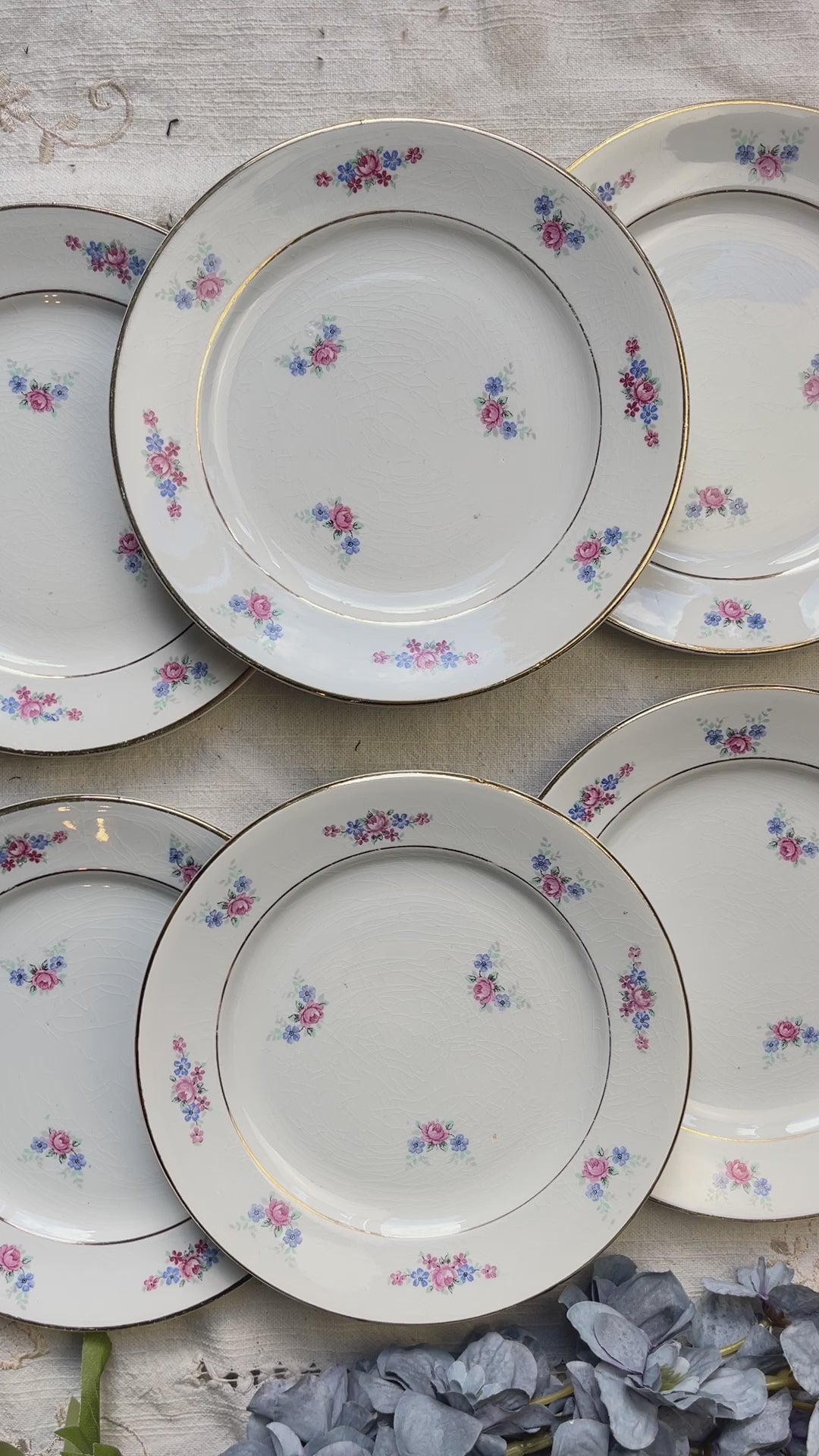 Lot de 6 petites assiettes en porcelaine vintage de Salins, décor floral bleu et rose, dorure.
