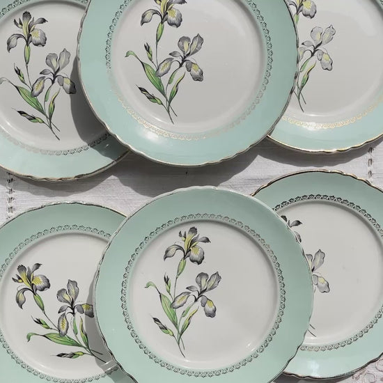 6 Assiettes plates porcelaine vintage blanche verte Iris Moulin des Loups "Sargosse" 1950s