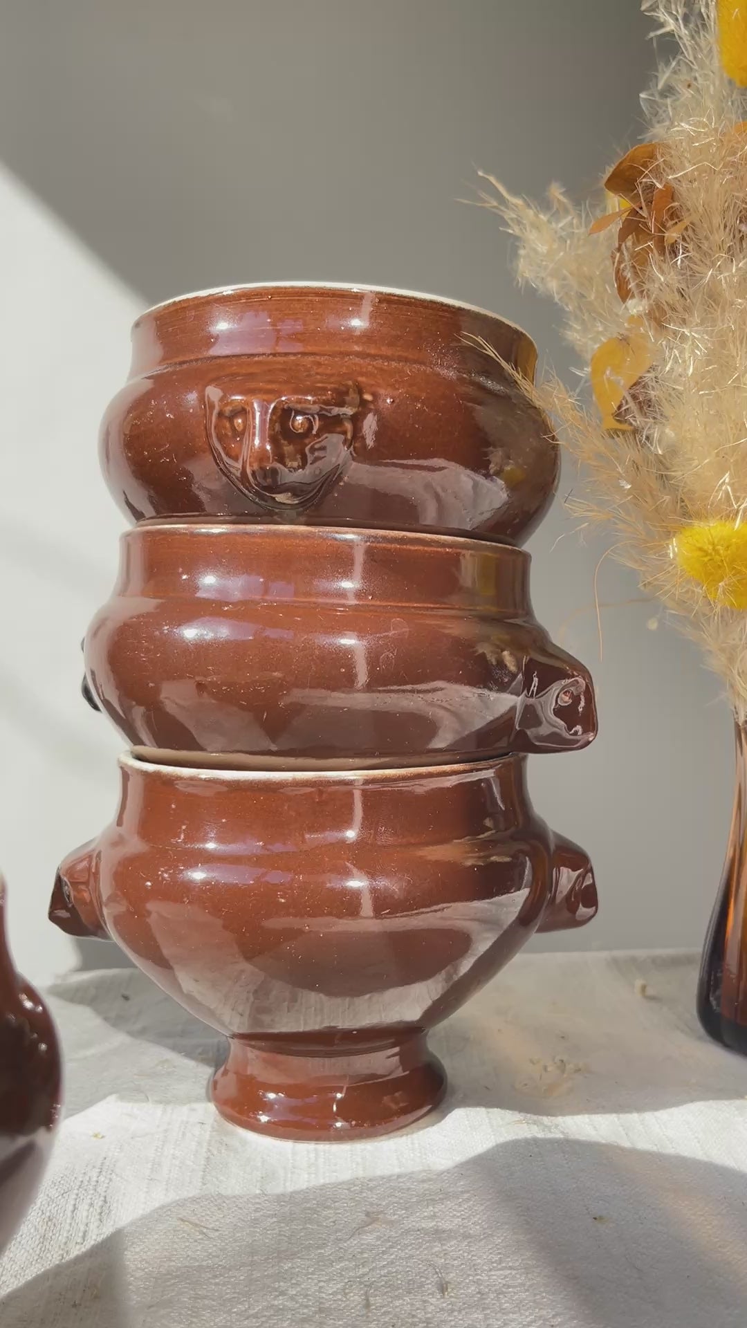 7 Bols à Soupe à l'Oignon Tête de Lion en Céramique Vintage Emile Henry - Marron, Made in France