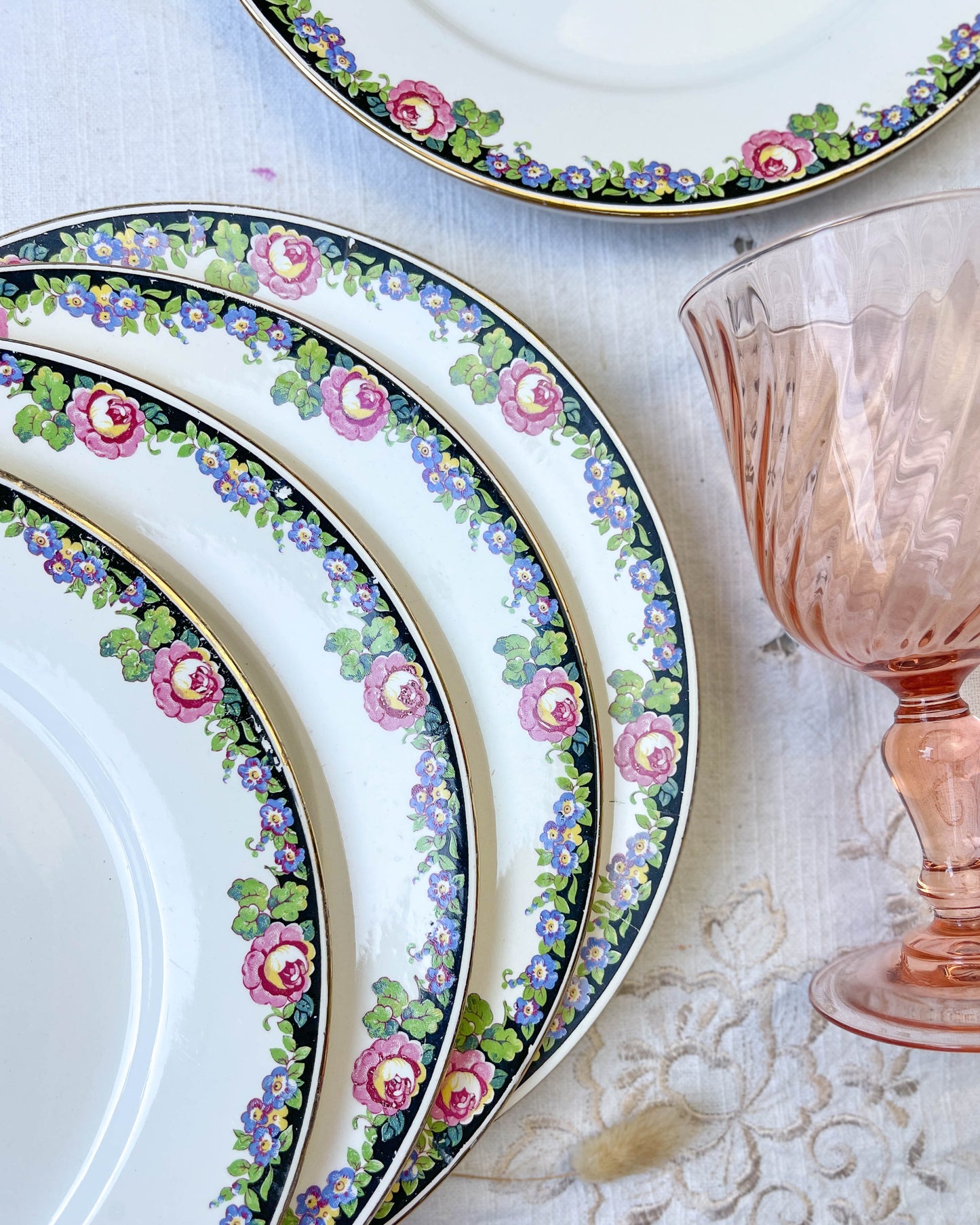 7 Assiettes plates en Porcelaine opaque DIGOIN motif fleuris 3984