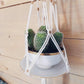 Suspension porte plante en crochet
