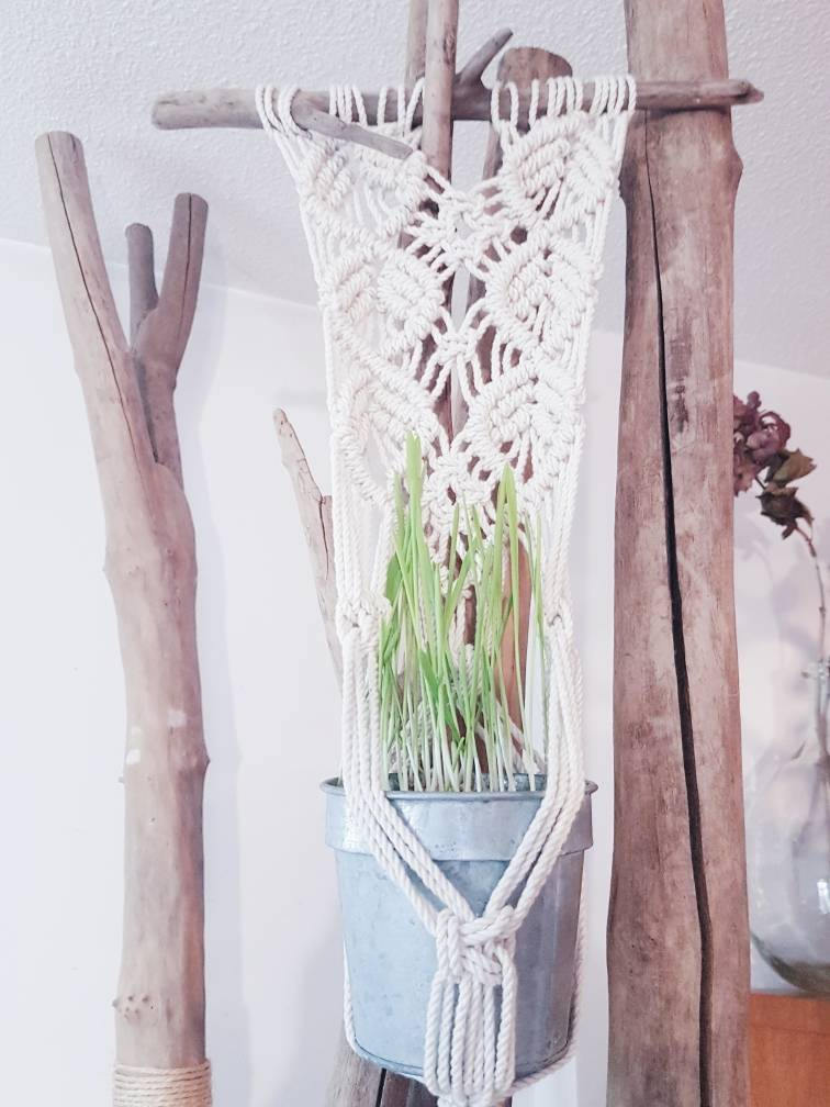 Suspension porte plante en crochet et bois flotté - violn.fr
