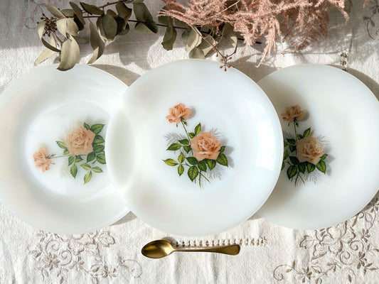 3 Assiettes ARCOPAL fleuris, 1950 - violn.fr