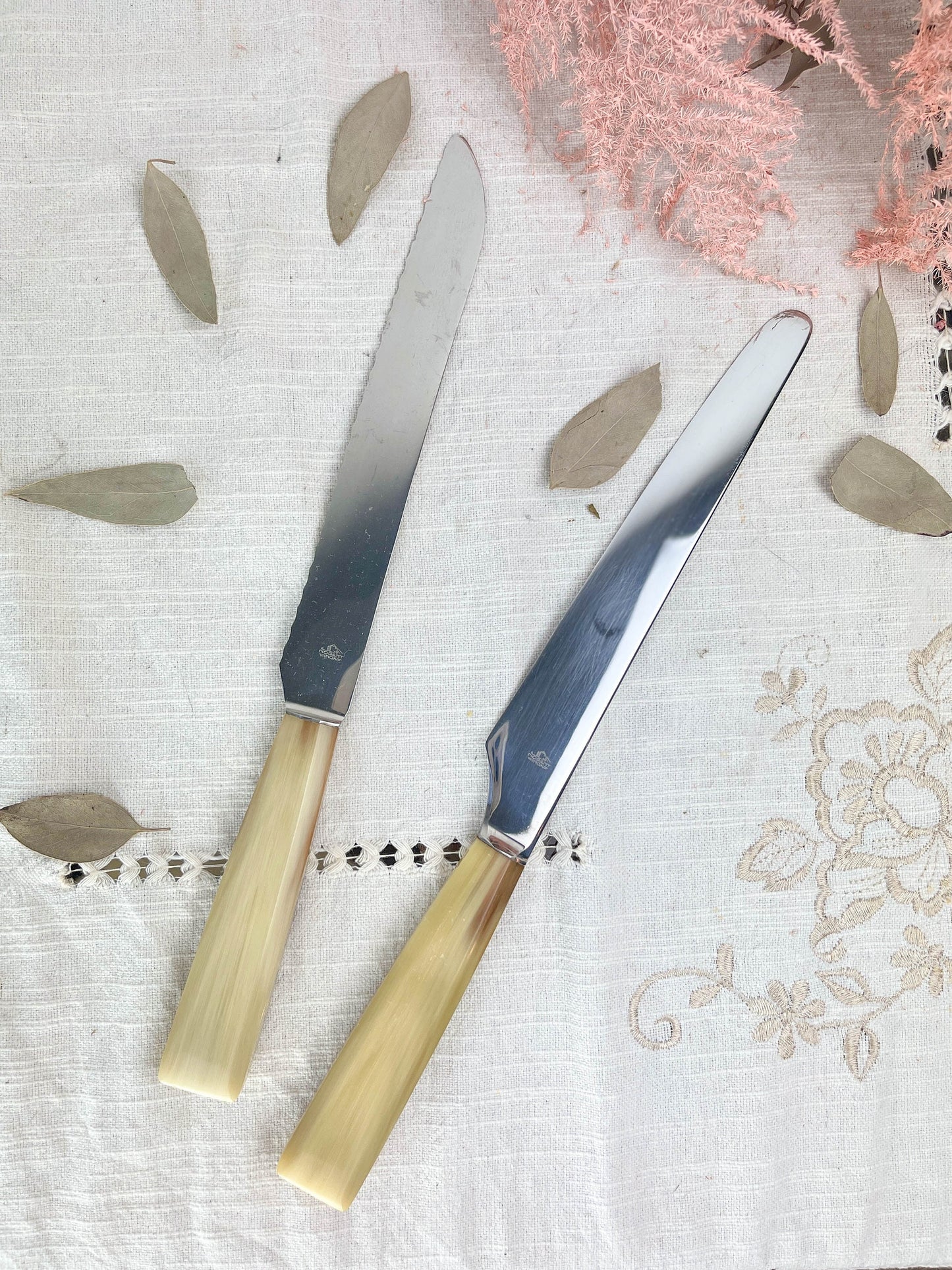 2 couteaux vintage NOGENT Bakélite