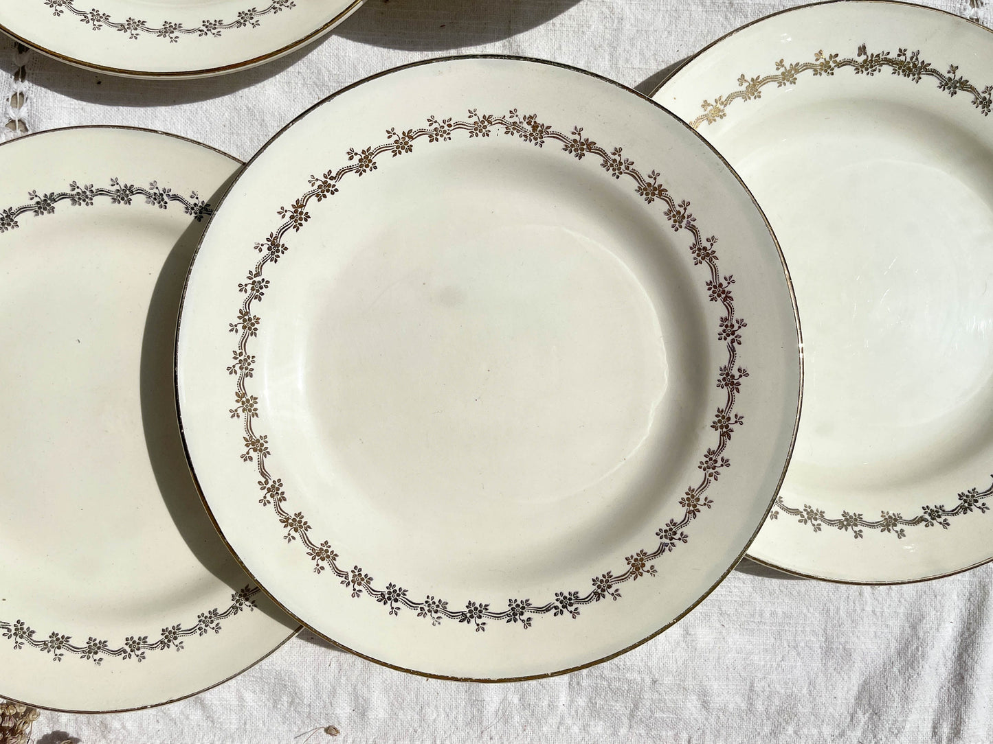 6 Assiettes plates en porcelaine opaque DIGOIN modèle SUZY - violn.fr