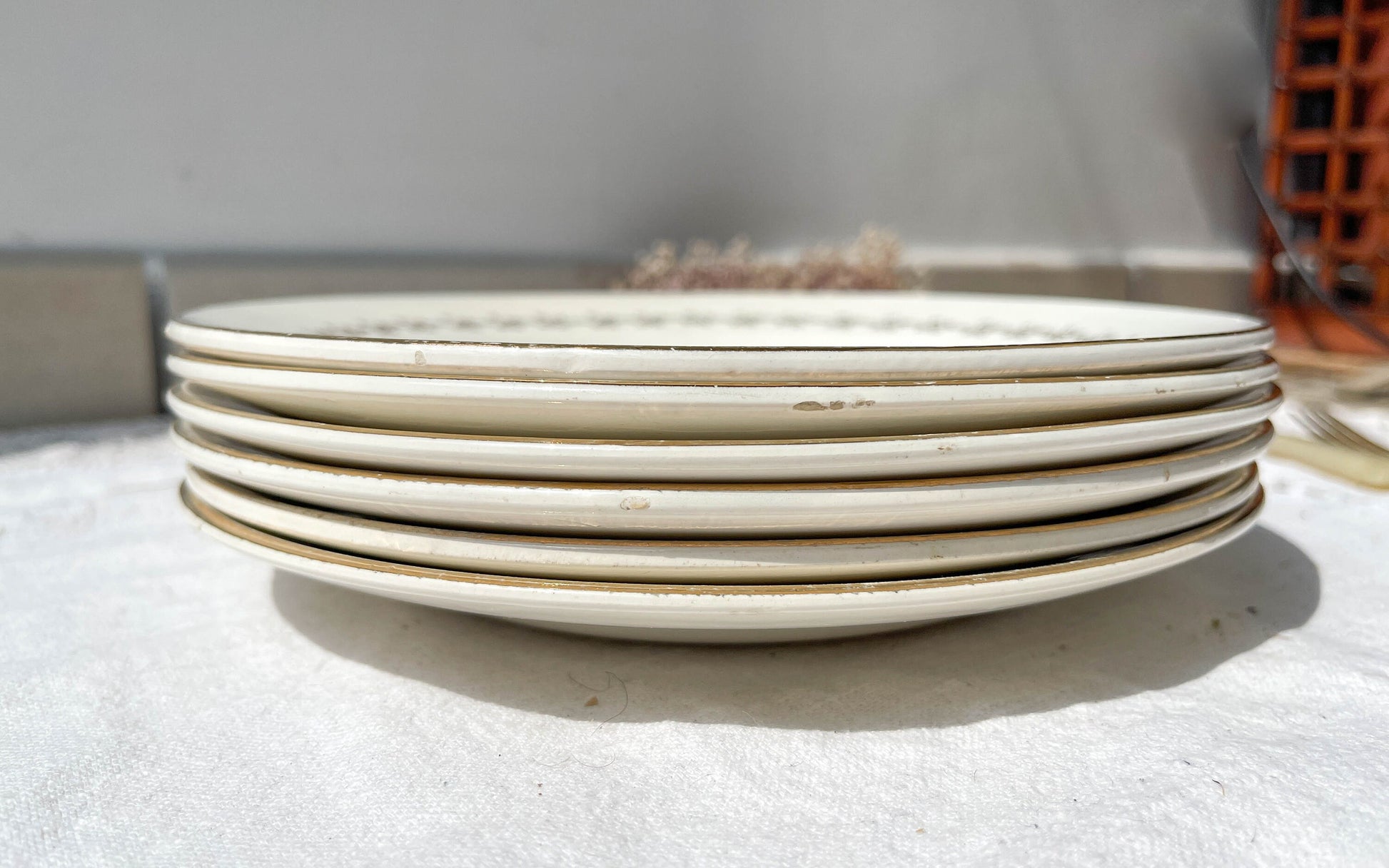 6 Assiettes plates en porcelaine opaque DIGOIN modèle SUZY - violn.fr